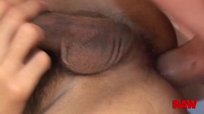 Versatile shemale lilly