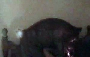 Josie sucks black dick