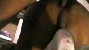 Vintage porn.Ebony fuck in sox