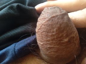 big gay cock waiting for a juicy ass