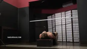 Under Mistress Tatjana's Jeans!