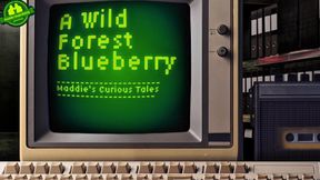 🌲🫐A Wild Forest Blueberry🫐🌲