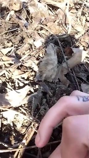Touching and Tasting Own Cum From the Ground