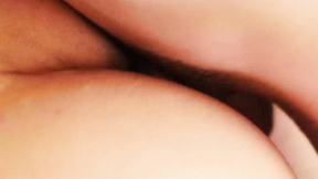 ”Twinks Tyler Tremallose & Timber Harvest bareback fuck”