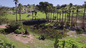 Next Door Films: Finn's Handiwork