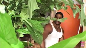 Big-titted black beauty gets pounded by two studs in steamy interracial booty bash