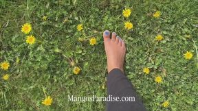 Barefoot Goddess | Ebony Foot Fetish and Soles Worship with Temptress Mango