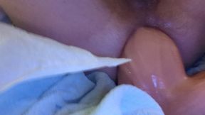Close up anal toy 3.5" diameter dildo