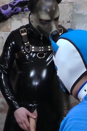 4some pup play homemade