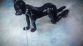 Latex Pet Play 1