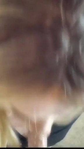 POV Blowjob