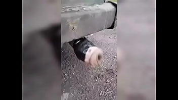 TURBOVAGINA