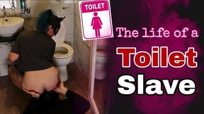 Training Zero Life Of A Femdom Toilet Slave Husband Task Bondage Bdsm Bathroom Humiliation Ass Cleaning Wife Real Homemade Milf