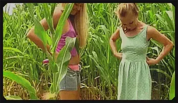 Adorable Teens Lesbian Outdoor Orgy with Toys