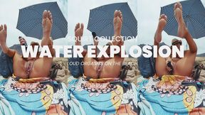 Beach Squirt Frenzy