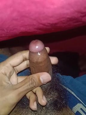 Teaching about penis