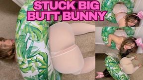 The Bunny Party Problem: Wide Huge Butt Stuck In Rabbit Hole