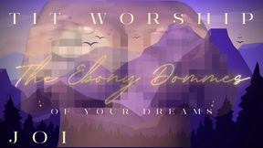 (Solo) JOI TIT WORSHIP OF YOUR DREAMS