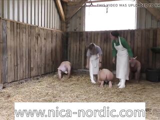 Germany Femdom Pigging men