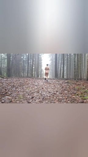 In search of Santa Claus