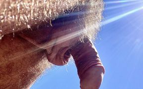 Checking That Everything Is in Order at the Construction Site