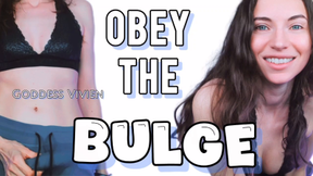 Obey the Bulge Goddess Dick Futanari with Femdom Goddess Vivien You can’t help yourself, you’re completely obsessed, powerless to look away. My bulge is all you think about, all you want. You know you’re weak for My bulge, desperate to worship with your