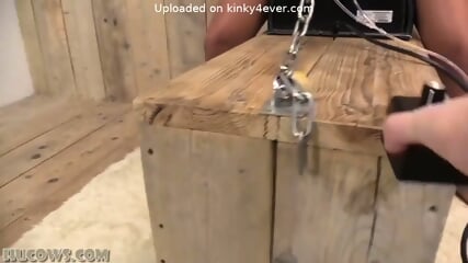 Natalia forrest sybian  Kinky4Ever