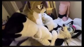 Cute Fursuit bottom moans cutely for top 2