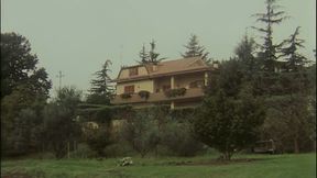 At the Sex Hotel No One Is Spared