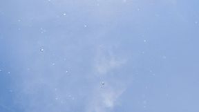 Hibiscus tiny bikini with silicone foot bondage