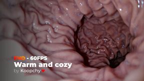 [FHD 60FPS] - Warm and cozy stomach - ENDOSCOPE VORE (CINEMATIC)
