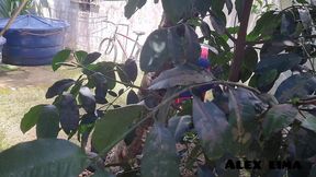 homem aranha se depara com duas taradas gostosas . paty bumbum . e . melissa devassa . e meteu a rola nas duas