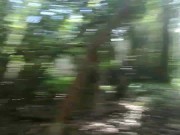 Forrest Creature