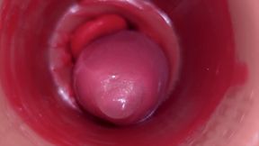 Inside a Camgirl Cervix POV Camera in Vagina with Big Dick Toy