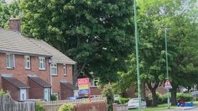 Lola Rae - Double Bubble