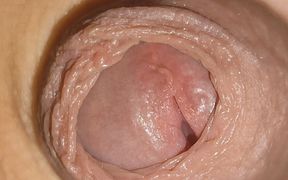 Small Pussy Dick Slowly Blossoming