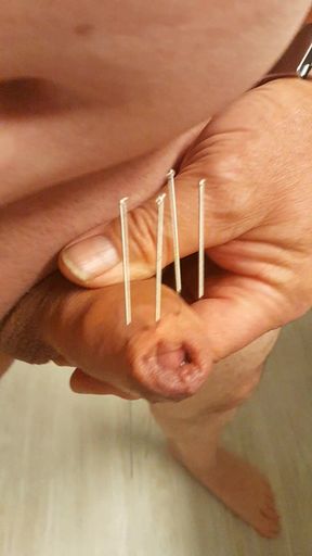 Needles through the foreskin