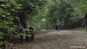 The Dog Walk