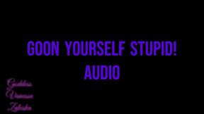 Goon Yourself Stupid! Audio