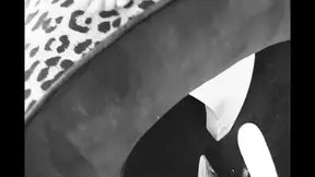 Cocoa Makes Itself Felt