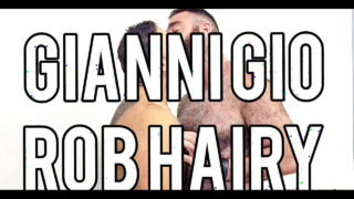 Een ouder, behaard mannenpaar geniet van onbeschermde anale seks na een intense fellatio.