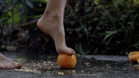Pro-Cam Orange Crush – 36 Citrus Under My Feet (4K)