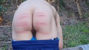 Spanking Stories 264