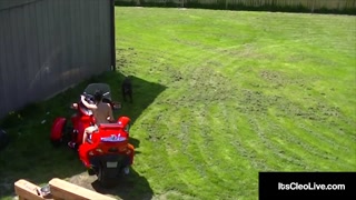 Cute Cam Girl Its Cleo Rides Cool Cycle &amp; A Vibrating Dildo!