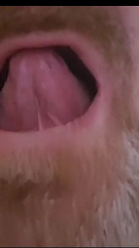 Mature Chubby Bear Toothless. Watch Inside My Toothless Mouth and Meet My Tongue - Mouth Fetish