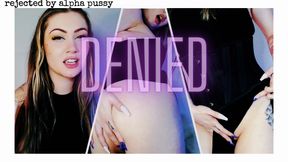 Denied By Alpha Pussy