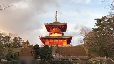 【vlog】成田山vlog-新年の初詣と自然あふれる成田山でお散歩デート-ちなみに(まりあの)おみくじは大吉でした