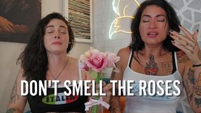 Don't Smell the Roses! Allergy Sneezes