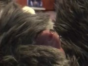 Cute fursuit bunny locked in chastity leaking