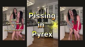 Pissing In Pyrex: two women can't hold their pee any longer
